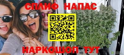 ГАЛЛЮЦИНОГЕННЫЕ ГРИБЫ Будённовск