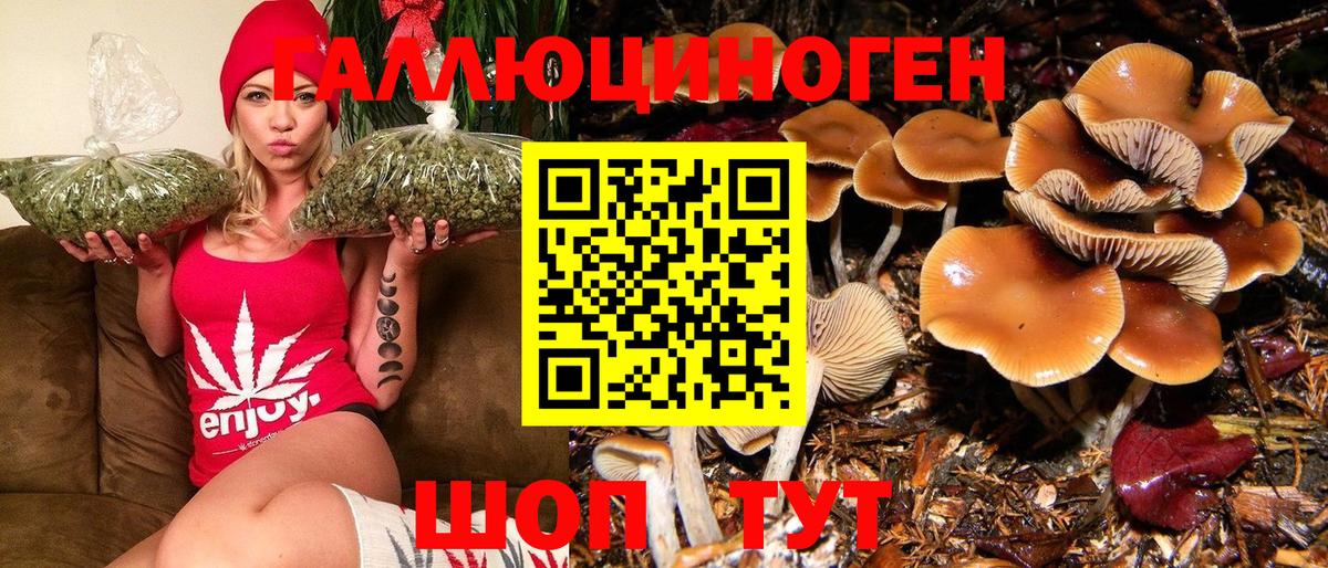 Галлюциногенные грибы ЛСД  Псилоцибиновые грибы ЛСД  Артём 