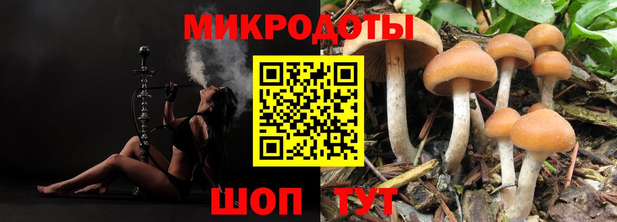 Галлюциногенные грибы Psilocybe Артём